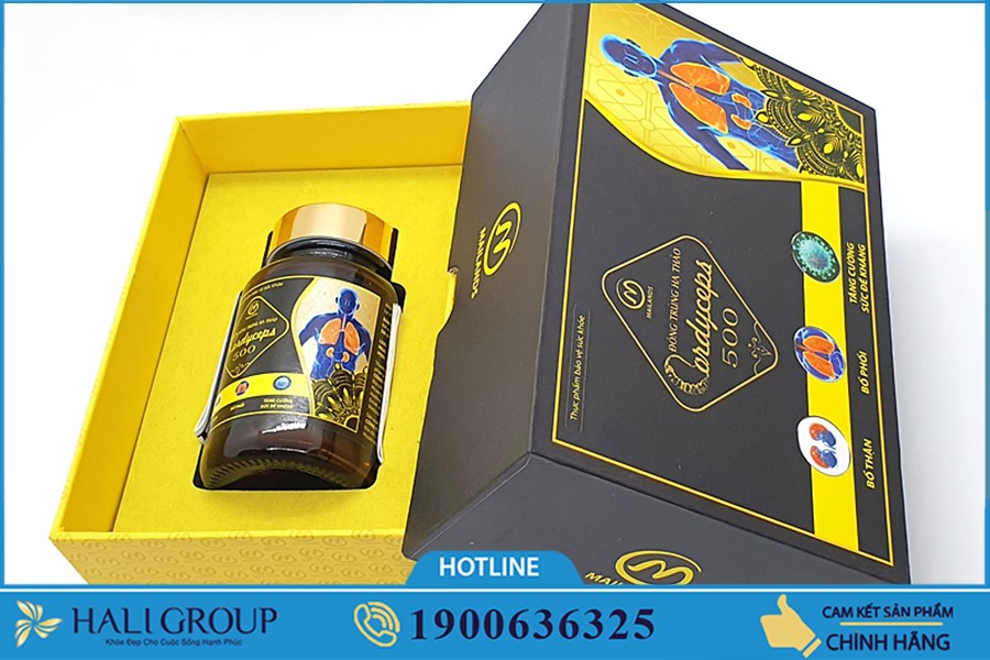 Bán lẻ Đông Trùng Hạ Thảo Cordyceps 500 Mailands ở TP HCM