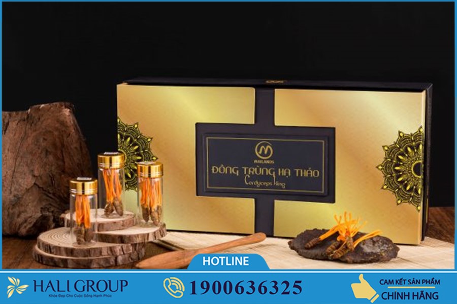 Nhộng Đông trùng hạ thảo Mailands King - sản phẩm tuyệt vời cho sức khỏe của bạn