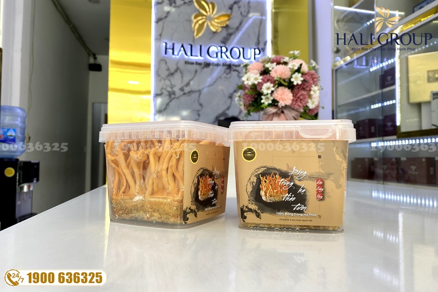 Tác dụng tuyệt hảo của Đông Trùng Hạ Thảo tươi đối với sức khỏe